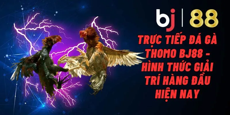 Trở thành sư kê với các bước tham gia nhanh chóng